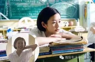 娱乐圈吃瓜小三小说